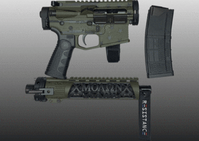 AMERICAN RESISTANCE AR15 BREAKDOWN PISTOL CRY HAVOC AND LAW TACTICAL AND SB TACTICAL
