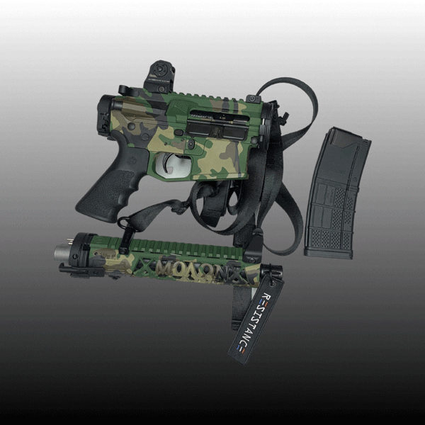 AMERICAN RESISTANCE AR15 TAKEDOWN PISTOL WITH M81 CERAKOTE PATTERN, LAW TACTICAL, CRY HAVOC TACTICAL, DANIEL DEFENSE SIGHTS, SSA-E TRIGGER, SB TACTICAL BRACE