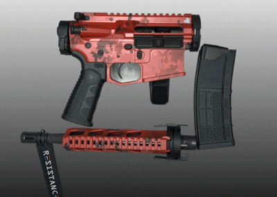 AMERICAN RESISTANCE AR15 BREAKDOWN PISTOL CRY HAVOC AND LAW TACTICAL AND SB TACTICAL